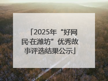 2025年“好网民·在潍坊”优秀故事评选结果公示