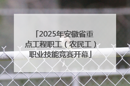 2025年安徽省重点工程职工（农民工）职业技能竞赛开幕
