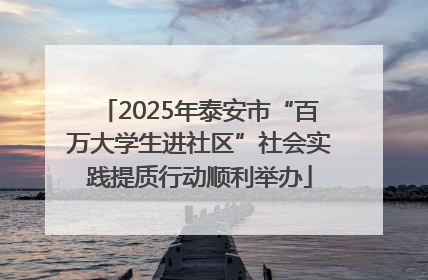 2025年泰安市“百万大学生进社区”社会实践提质行动顺利举办