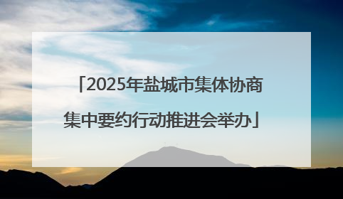 2025年盐城市集体协商集中要约行动推进会举办
