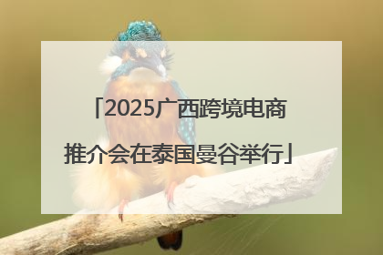 2025广西跨境电商推介会在泰国曼谷举行