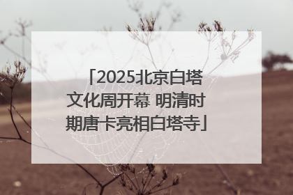 2025北京白塔文化周开幕 明清时期唐卡亮相白塔寺