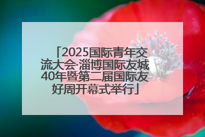 2025国际青年交流大会·淄博国际友城40年暨第二届国际友好周开幕式举行