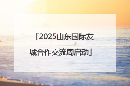 2025山东国际友城合作交流周启动