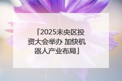 2025未央区投资大会举办 加快机器人产业布局