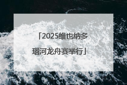 2025维也纳多瑙河龙舟赛举行