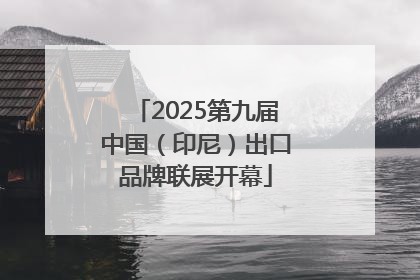 2025第九届中国（印尼）出口品牌联展开幕