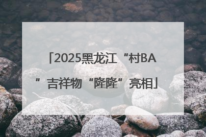 2025黑龙江“村BA”吉祥物“隆隆”亮相