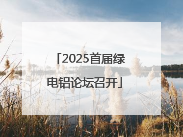 2025首届绿电铝论坛召开
