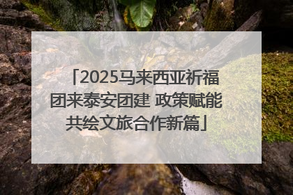 2025马来西亚祈福团来泰安团建 政策赋能共绘文旅合作新篇
