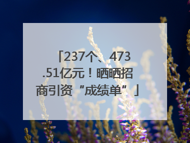 237个、473.51亿元！晒晒招商引资“成绩单”