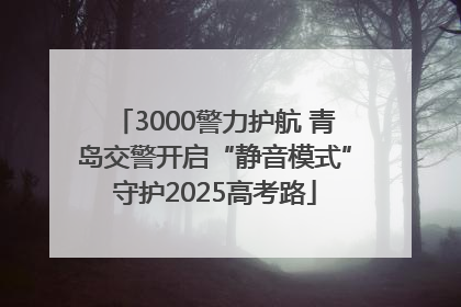 3000警力护航 青岛交警开启“静音模式”守护2025高考路