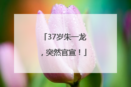37岁朱一龙，突然官宣！