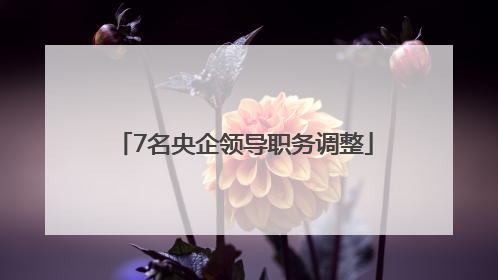 7名央企领导职务调整