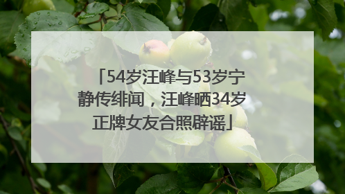 54岁汪峰与53岁宁静传绯闻，汪峰晒34岁正牌女友合照辟谣