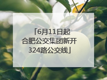 6月11日起 合肥公交集团新开324路公交线