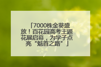 7000株金葵盛放！百花园高考主题花展启幕，为学子点亮“魁首之路”
