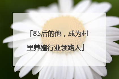 85后的他，成为村里养殖行业领路人