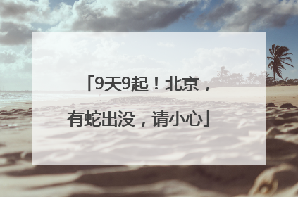 9天9起！北京，有蛇出没，请小心