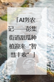 AI务农记——彭集街道甜瓜种植迎来“智慧丰收”