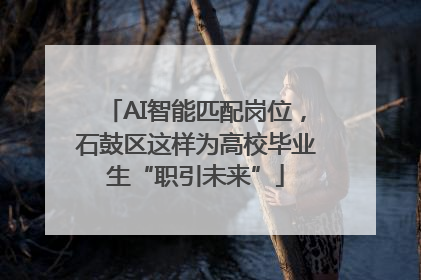 AI智能匹配岗位，石鼓区这样为高校毕业生“职引未来”