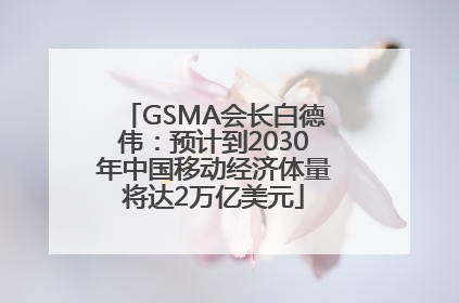 GSMA会长白德伟：预计到2030年中国移动经济体量将达2万亿美元