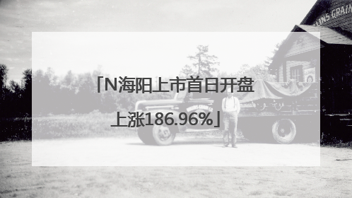 N海阳上市首日开盘上涨186.96%