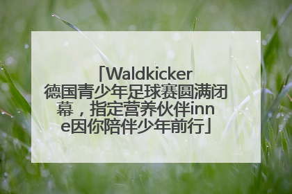 Waldkicker德国青少年足球赛圆满闭幕，指定营养伙伴inne因你陪伴少年前行