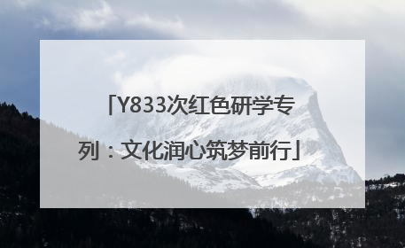 Y833次红色研学专列：文化润心筑梦前行